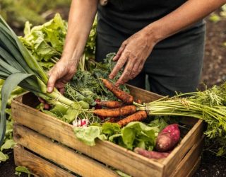 From Farms to Podcasts: Discussing the Farm-to-Table Movement