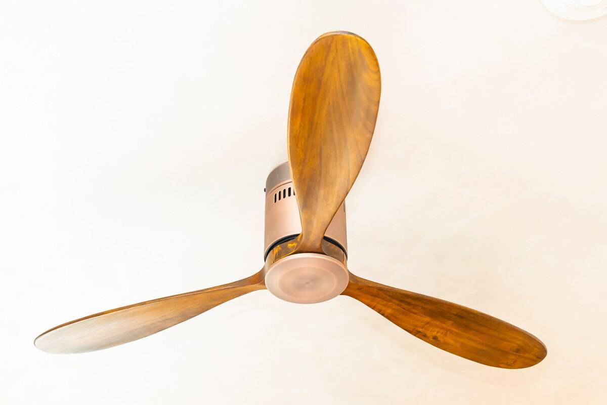 Ceiling-Fans